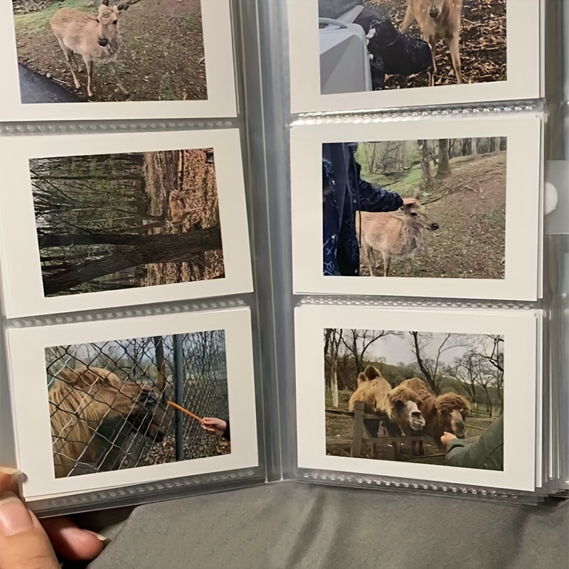 Album da 240 carte di grande c - Home Office Or recensione e prezzo